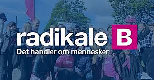 Det radikale venstre