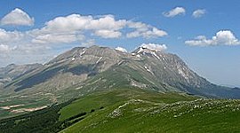 Timeline: Ordenación Forestal en España