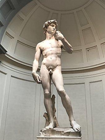 MIGUEL ANGEL: EL DAVID