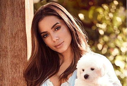 5 fatos sobre Anitta
