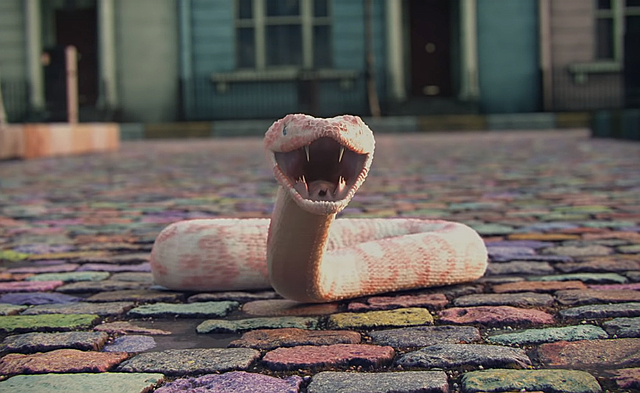 Nova era: A transformação de cobra à borboletas!