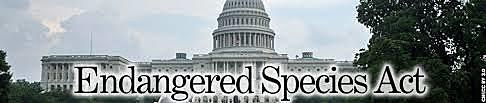 Endangered Species Act