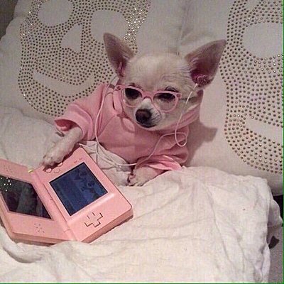 Timeline: important events in life :)