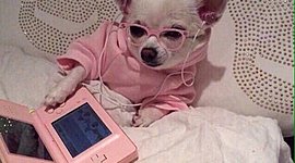 Timeline: important events in life :)