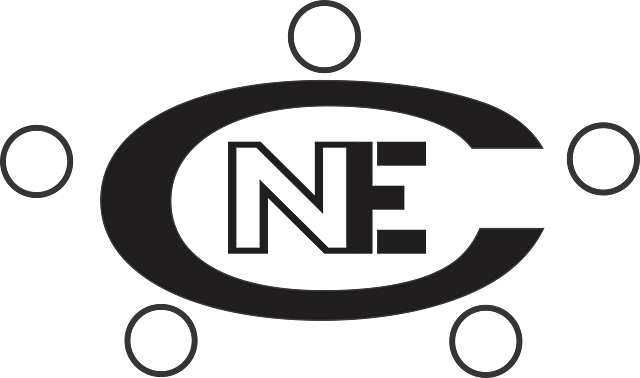 CONSEJO INTERNACIONAL DE ENFERMERIA