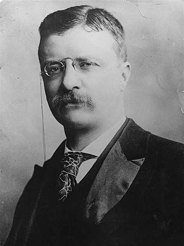 Theodore Roosevelt becomes President