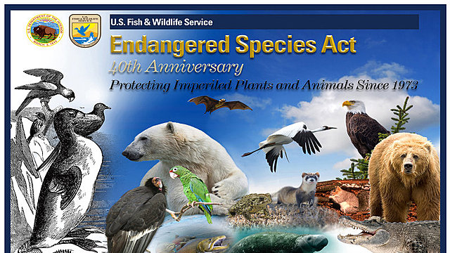 The Endangered Species Act