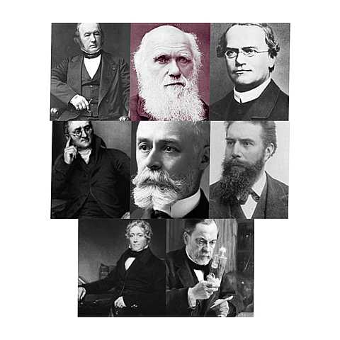 AVANCES DEL SIGLO XIX