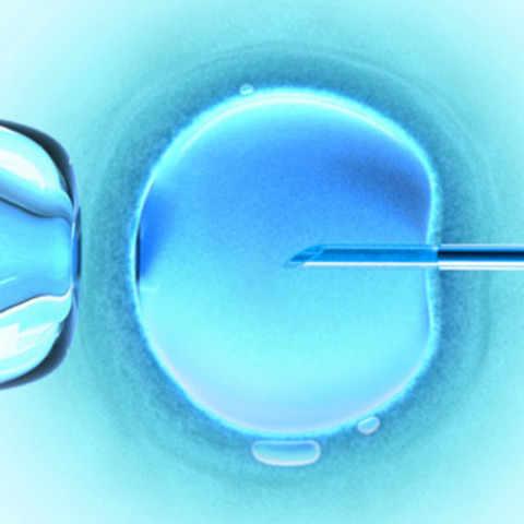 Loise Joy Brown was born, the first human baby resulting from in vitro fertilization, in which sperm and egg are joined in a petri dish.  The fertilized egg in later implated in a womb.