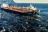 Exxon Valdez Oil Spill