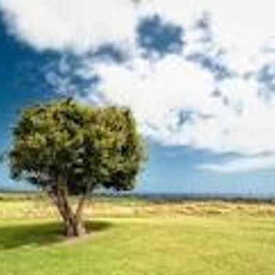 Timeline: A New Era - 1980-2001