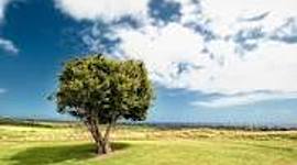 Timeline: A New Era - 1980-2001