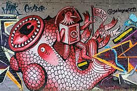 Excursiones a San Cristóbal, Venezuela