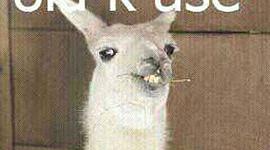 Timeline: Historia del computador