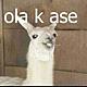 Ola k ase