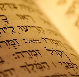 EL ESTUDIO DEL LENGUAJE ENTRE LOS GRIEGOS