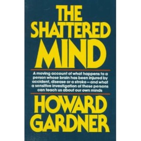 The Shattered Mind