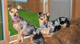 Timeline: How Do You Get Around Alaska