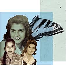Las mariposas inolvidables