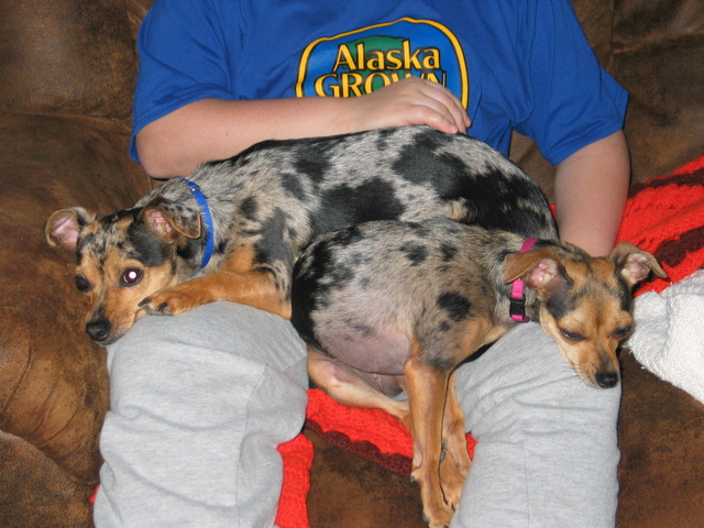 Have idea placed onto board