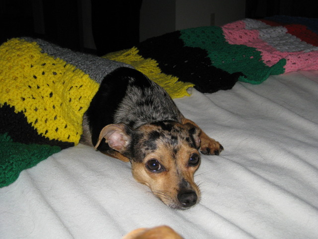 have drawing done of idea