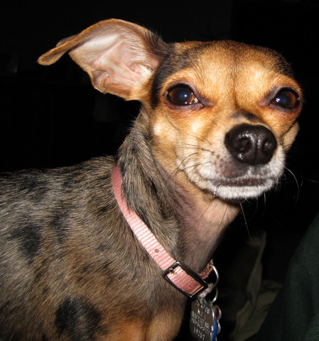 Group air will present