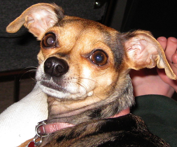 group water will present