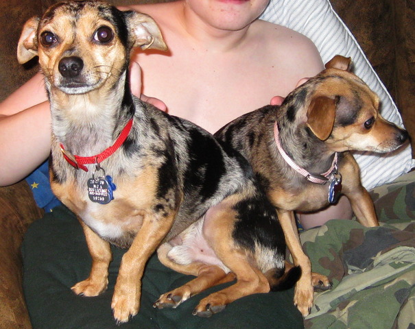 group land will present