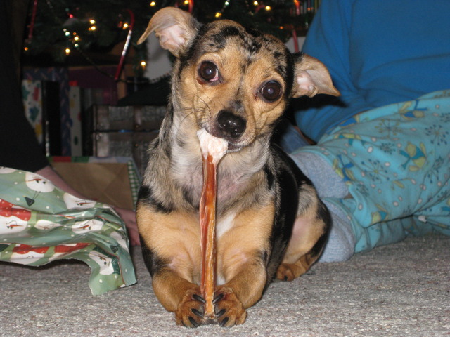 wrap up project and discussion