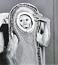 Misión estadounidense Abble-Baker