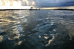 El derrame de petróleo en el Golfo de México (2010)