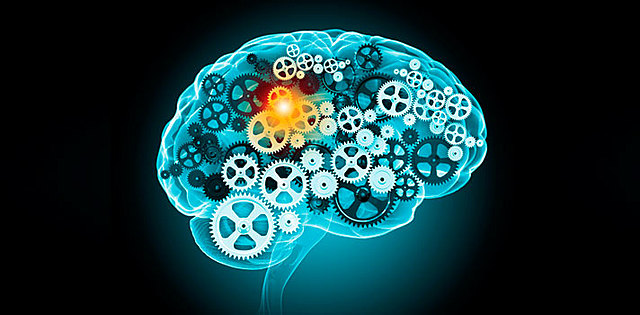 Los conceptos, los juicios y los razonamientos de Aristóteles