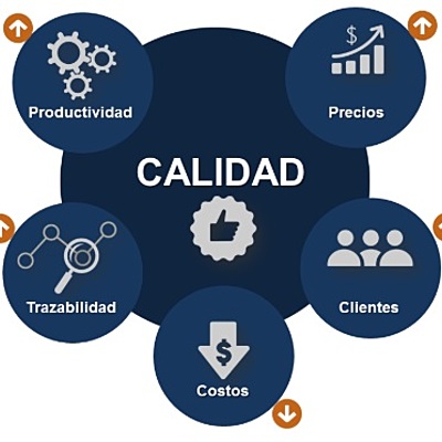 Timeline: Evolución de la calidad