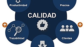 Timeline: Evolución de la calidad