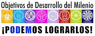 Cumbre del Milenio y Metas del Milenio