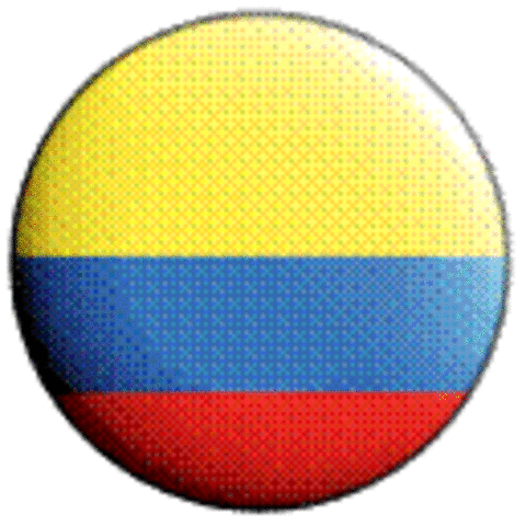 Estudio a distancia en Colombia