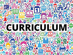 Organización del currículo