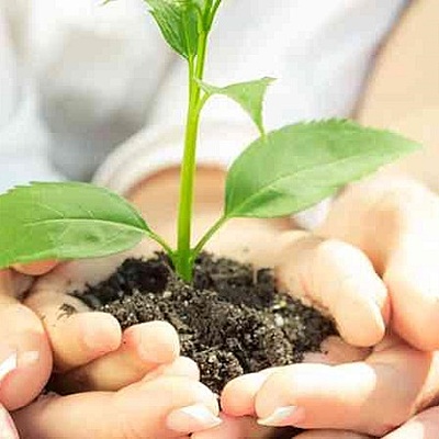 Timeline: Educación ambiental