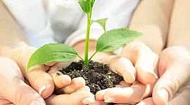 Timeline: Educación ambiental