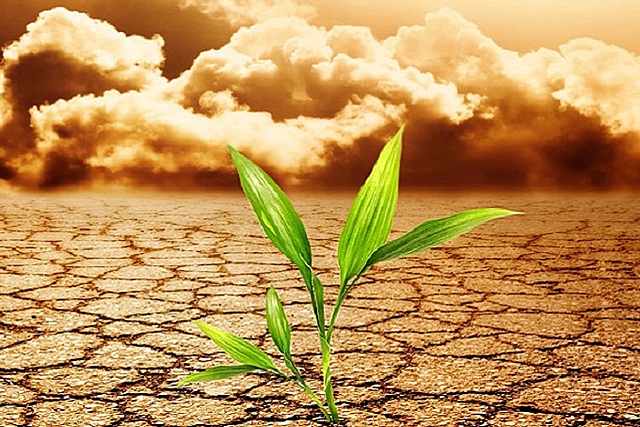 Programas en práctica