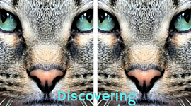 Timeline: eTwinning Project - Discovering Symmetries and Isometries