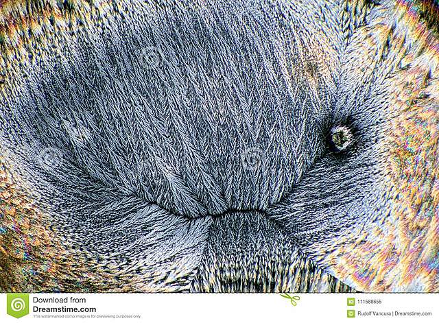 Se extrae la vitamina C cristalizada del jugo del limón