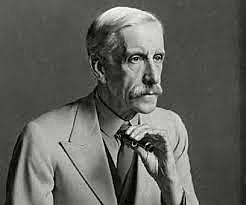 Aparece las primeras nociones de las vitaminas como esenciales para la vida.