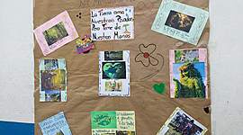 Timeline: Historia de mi carrera