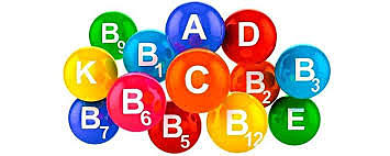 Se propone primer conjunto de requerimientos nutricionales que incluían diversas vitaminas y minerales