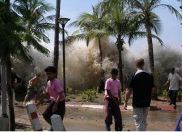 The Boxing Day Tsunami