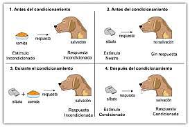 comportamiento/ condicionamiento clasico