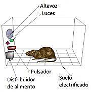 condicionamiento operante
