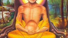 Timeline: Siddhartha