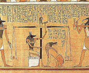 North and South Split
